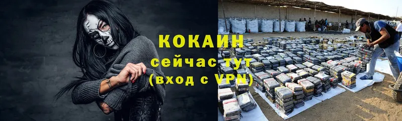 Cocaine Fish Scale  darknet официальный сайт  Балей  купить наркоту 